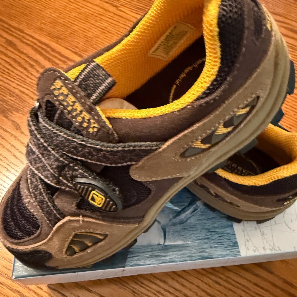 Sperry Boys taupe sneaker new in box